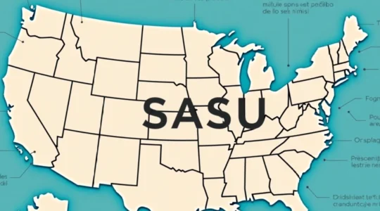 societe-sasu-c-est-quoi-exactement